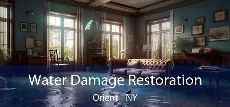 Water Damage Restoration Orient - NY