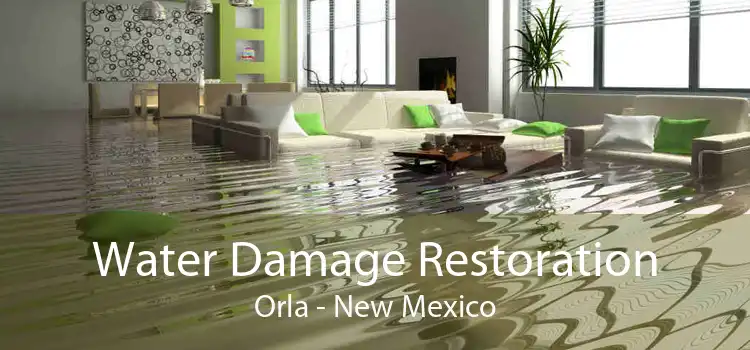 Water Damage Restoration Orla - New Mexico