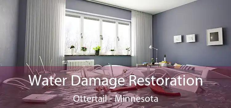 Water Damage Restoration Ottertail - Minnesota