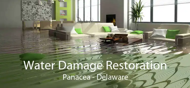 Water Damage Restoration Panacea - Delaware