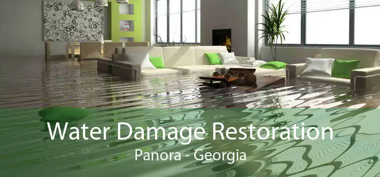 Water Damage Restoration Panora - Georgia