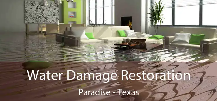 Water Damage Restoration Paradise - Texas