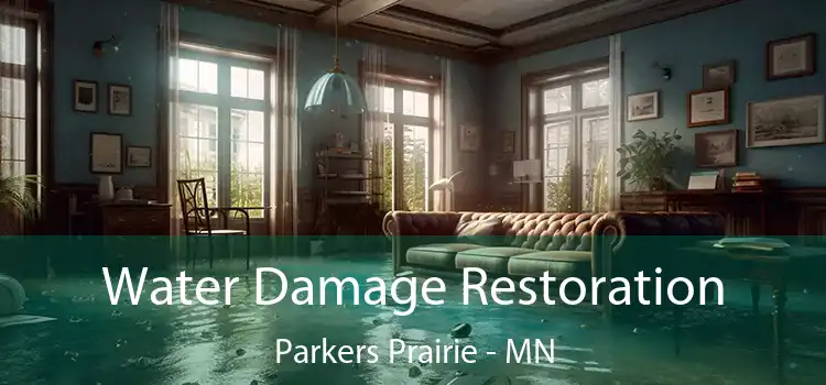 Water Damage Restoration Parkers Prairie - MN