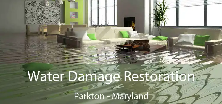 Water Damage Restoration Parkton - Maryland