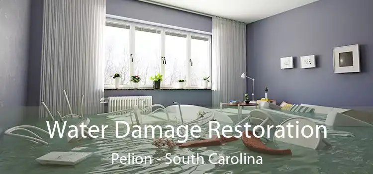 Water Damage Restoration Pelion - South Carolina