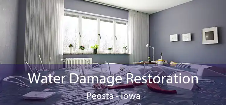 Water Damage Restoration Peosta - Iowa