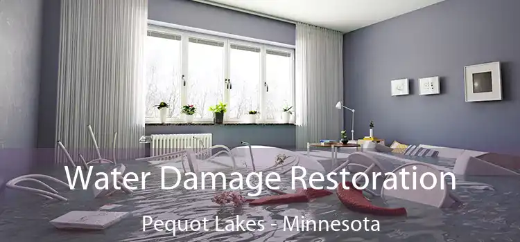 Water Damage Restoration Pequot Lakes - Minnesota