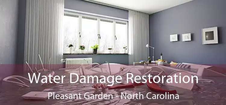 Water Damage Restoration Pleasant Garden - North Carolina