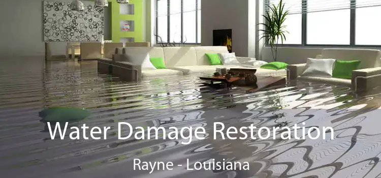 Water Damage Restoration Rayne - Louisiana