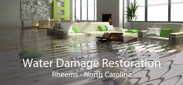 Water Damage Restoration Rheems - North Carolina
