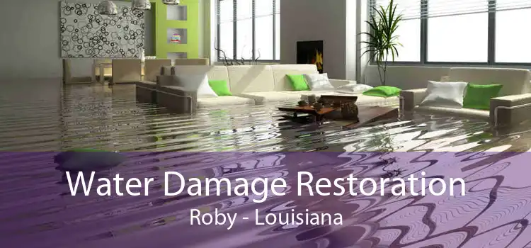 Water Damage Restoration Roby - Louisiana