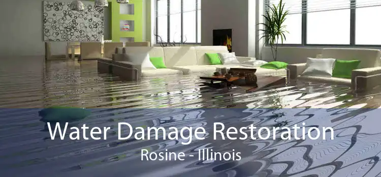 Water Damage Restoration Rosine - Illinois