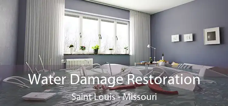 Water Damage Restoration Saint Louis - Missouri