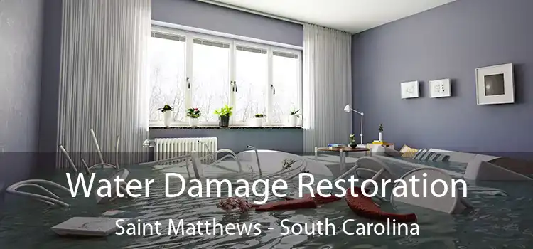 Water Damage Restoration Saint Matthews - South Carolina