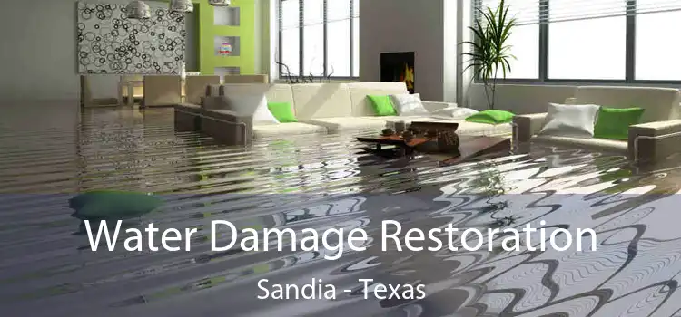 Water Damage Restoration Sandia - Texas