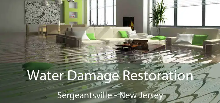 Water Damage Restoration Sergeantsville - New Jersey