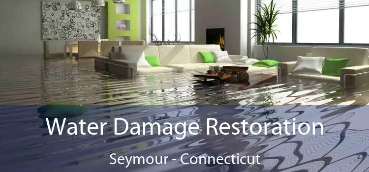 Water Damage Restoration Seymour - Connecticut