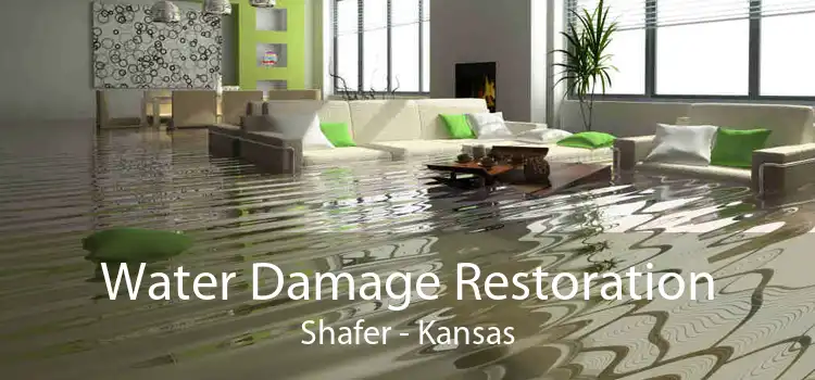 Water Damage Restoration Shafer - Kansas