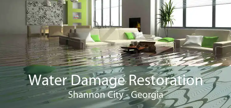 Water Damage Restoration Shannon City - Georgia