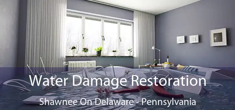 Water Damage Restoration Shawnee On Delaware - Pennsylvania