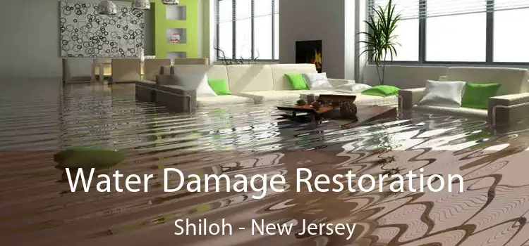 Water Damage Restoration Shiloh - New Jersey