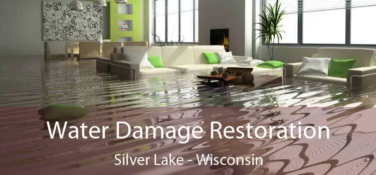 Water Damage Restoration Silver Lake - Wisconsin