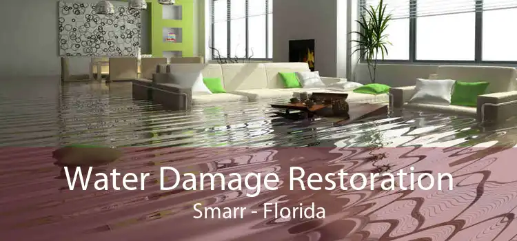 Water Damage Restoration Smarr - Florida