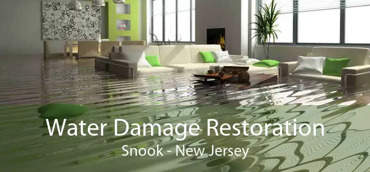 Water Damage Restoration Snook - New Jersey