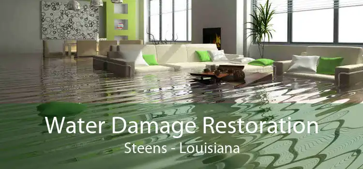 Water Damage Restoration Steens - Louisiana