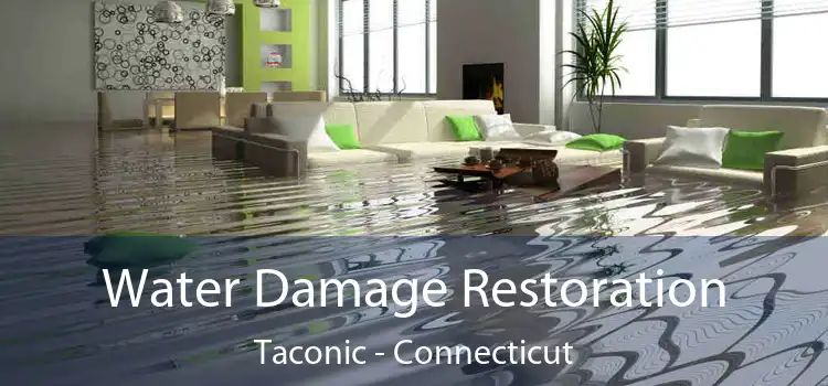 Water Damage Restoration Taconic - Connecticut