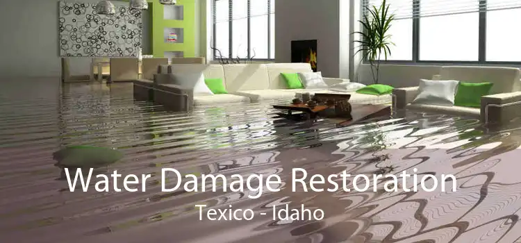 Water Damage Restoration Texico - Idaho