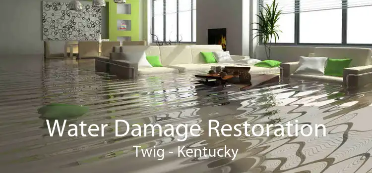 Water Damage Restoration Twig - Kentucky