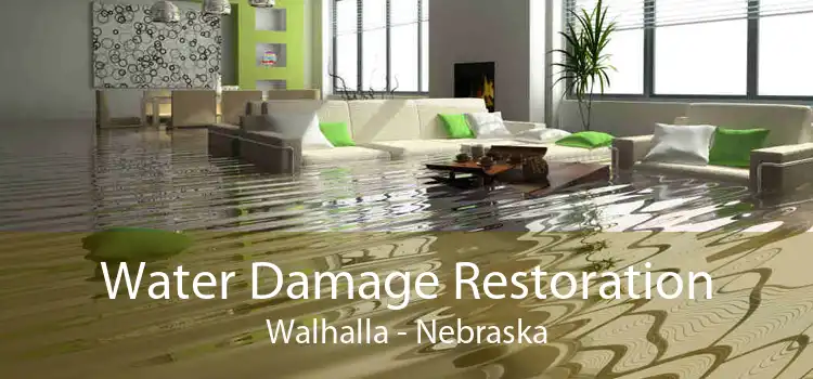 Water Damage Restoration Walhalla - Nebraska