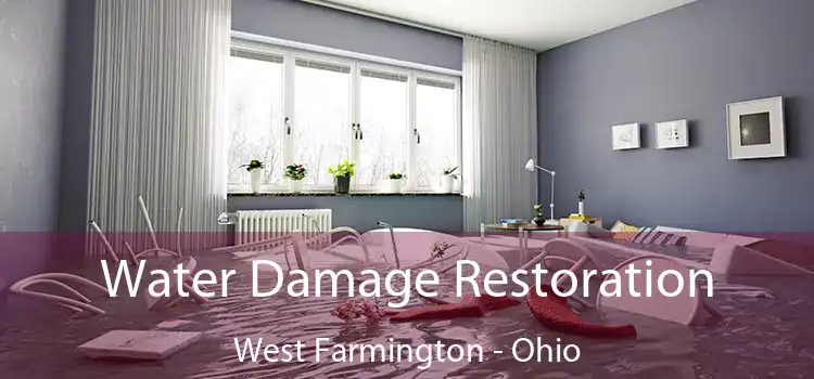 Water Damage Restoration West Farmington - Ohio