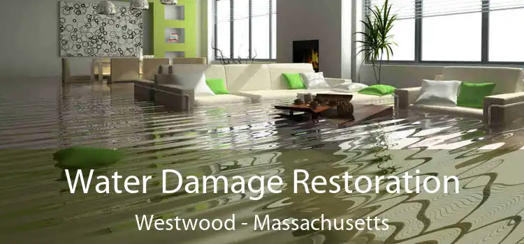 Water Damage Restoration Westwood - Massachusetts