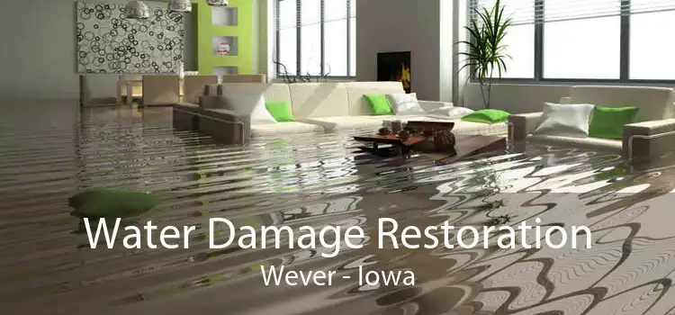 Water Damage Restoration Wever - Iowa