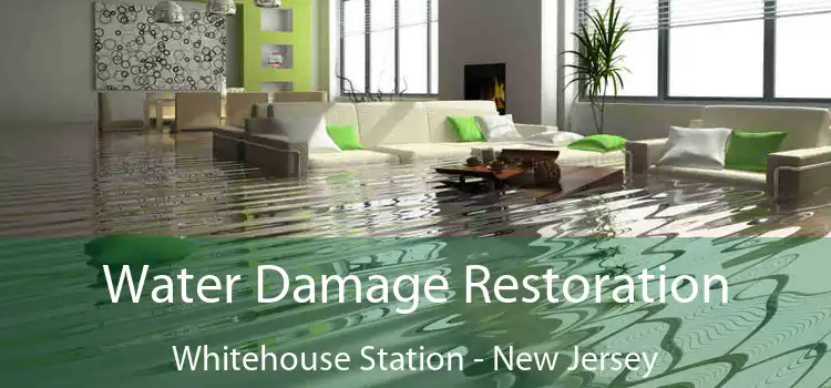 Water Damage Restoration Whitehouse Station - New Jersey