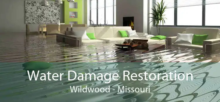 Water Damage Restoration Wildwood - Missouri