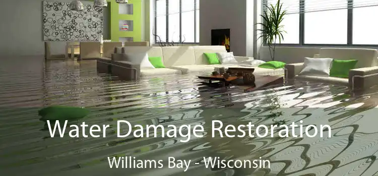 Water Damage Restoration Williams Bay - Wisconsin