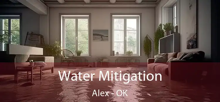 Water Mitigation Alex - OK