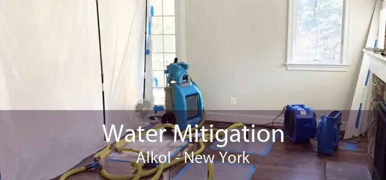 Water Mitigation Alkol - New York