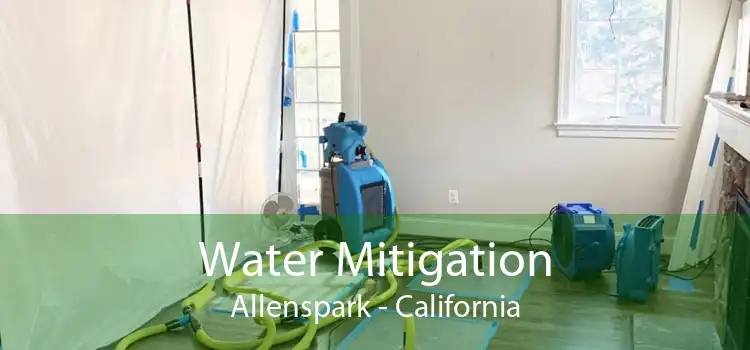Water Mitigation Allenspark - California