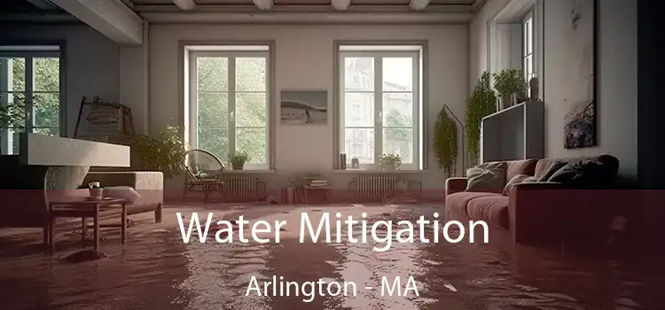 Water Mitigation Arlington - MA