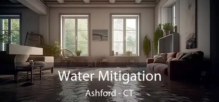 Water Mitigation Ashford - CT