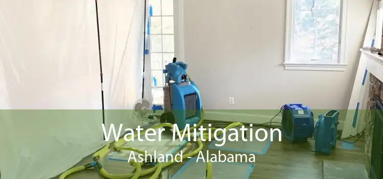Water Mitigation Ashland - Alabama