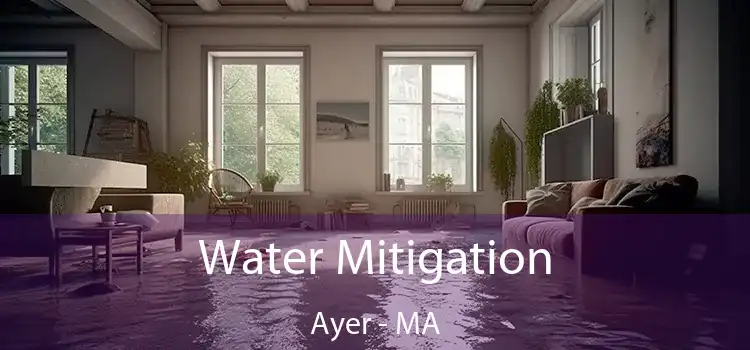 Water Mitigation Ayer - MA