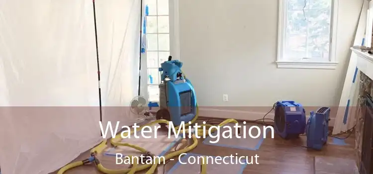 Water Mitigation Bantam - Connecticut