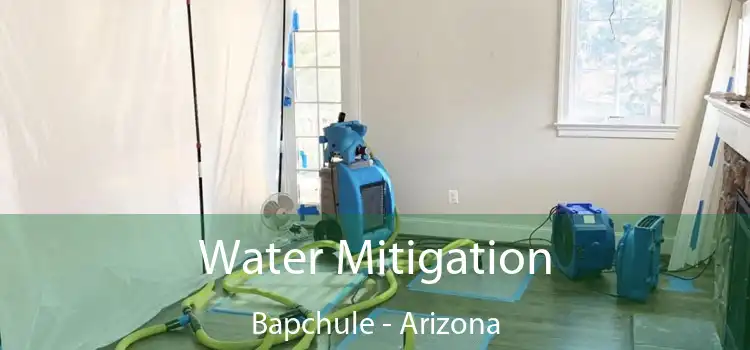 Water Mitigation Bapchule - Arizona