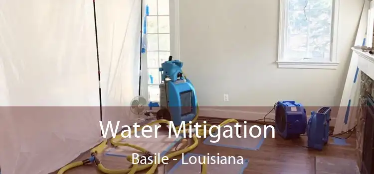 Water Mitigation Basile - Louisiana