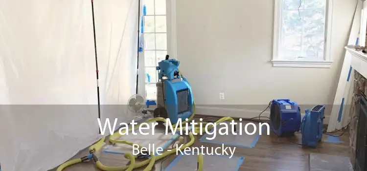 Water Mitigation Belle - Kentucky